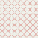 Don't Fence Me In - Coral