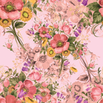 Prairie - Blush