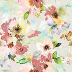 Rush The Rose - Coral